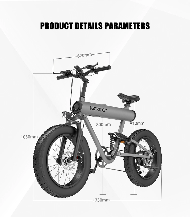 Hot Selling E-Bike Pedal Electric Bike Mobility Ebike for Adult