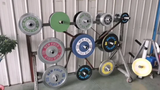 Logo personnalisé OEM Powerlifting Logo en creux chromé dur 0.25-25kg +-10g ensemble de plaques d'haltères en métal pour la salle de sport à domicile