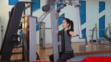 Meilleures ventes d'usine/fabricant vente directe d'équipements de fitness/salle de gym arrière Delt/Pec Fly avec ce approuvé (AXD-7005)